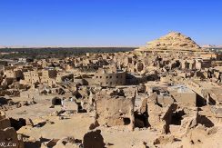 Siwa Oasis